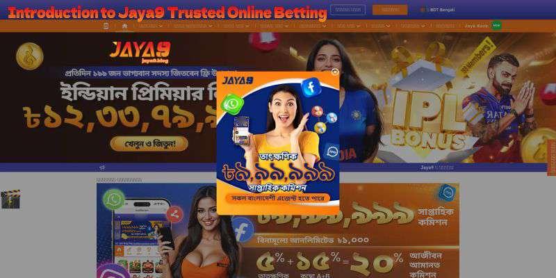 Discover Joya9 Casino A Quick Overview of Features and Offerings