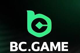Understanding Restricted Countries on BC.Game DK 839052346
